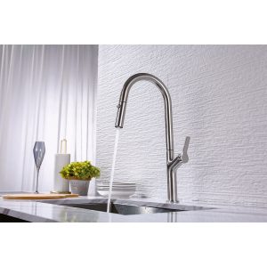 Vòi bếp Hafele LUX-P HT25-SH1F449