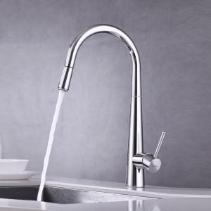 Vòi bếp Hafele HT21-CH1P245