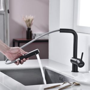 Vòi bếp Hafele HT21-GH1P250